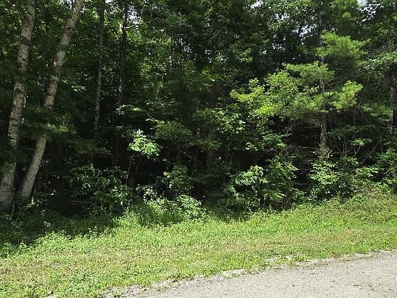3rd image of Honey Creek Loop Rd