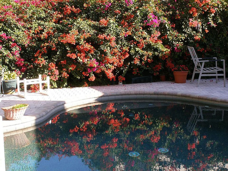 Pool Reflections