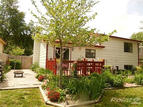 526 back yard view 2