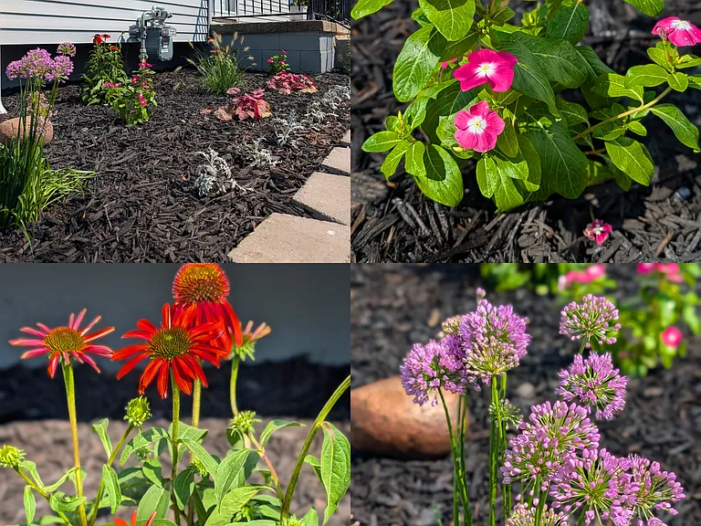 Front landscaping and flowers to come home to :)