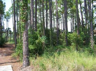 161 Painted Pony Rd, Port Saint Joe, FL 32456