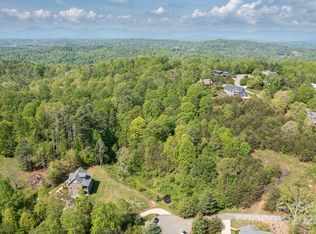 11 Spicebush Ln, Weaverville, NC 28787