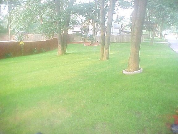 Front Yard