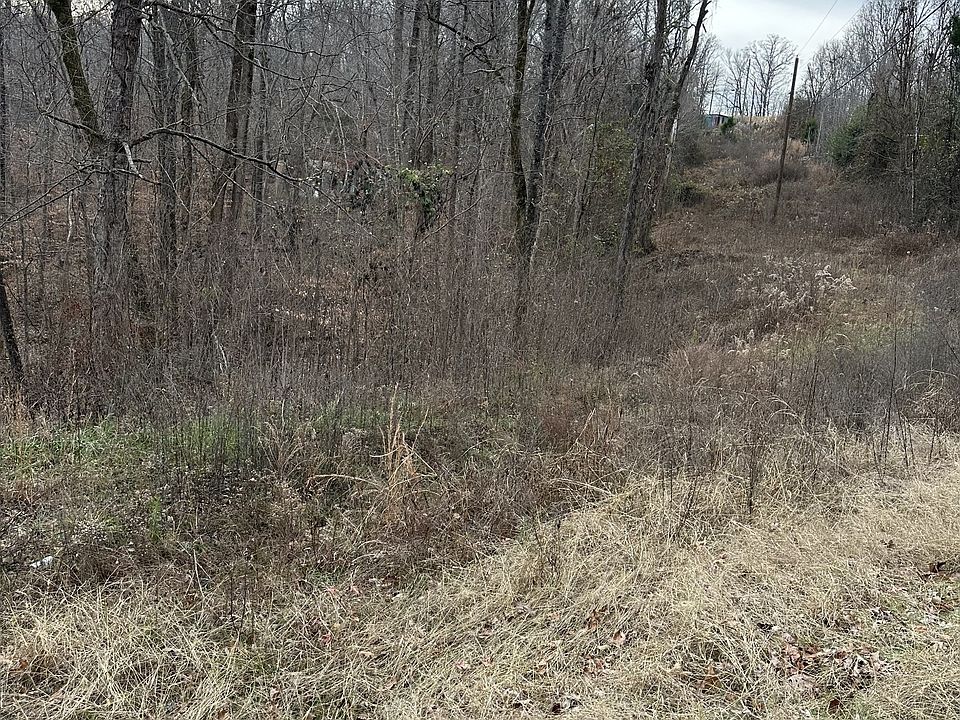 2nd image of 461 Ranger Rd