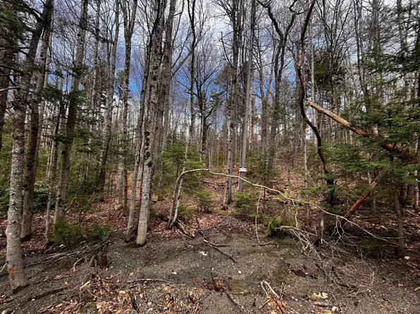 20 Villager Extension #95, Dover, VT 05356