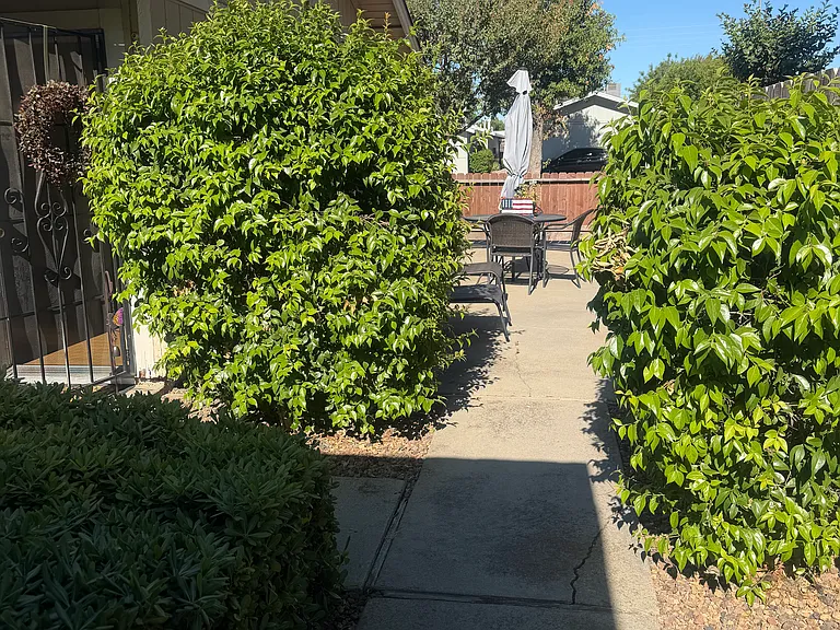 3001 Quail Hollow Dr — Photo 19