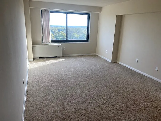 Silver Spring Towers — Photo 159