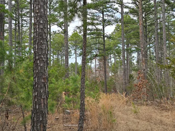 0 Texas Tower Rd, Licking, MO 65542