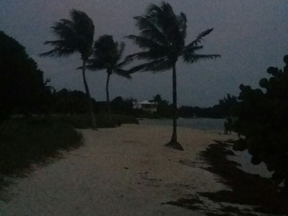 Evening walk.