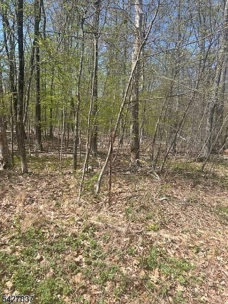 1st image of 37 Courtright Rd