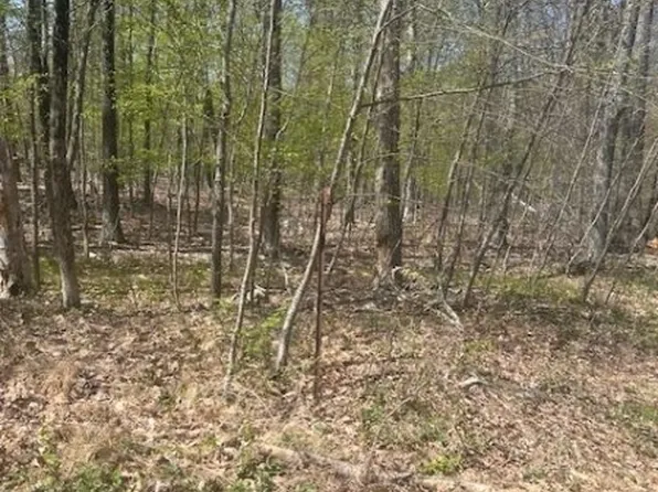 37 Courtright Rd, Wantage Twp., NJ 07461