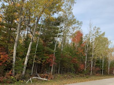 LOT 165 Wilderness Dr, Presque Isle, MI, 49777