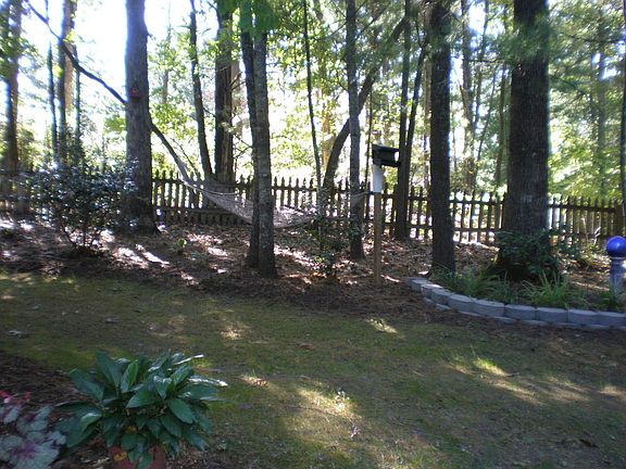 Back lawn & woods