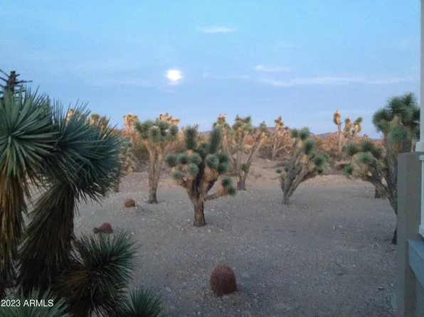 8685 W INDIAN PEAK Drive #116, White Hills, AZ 86445