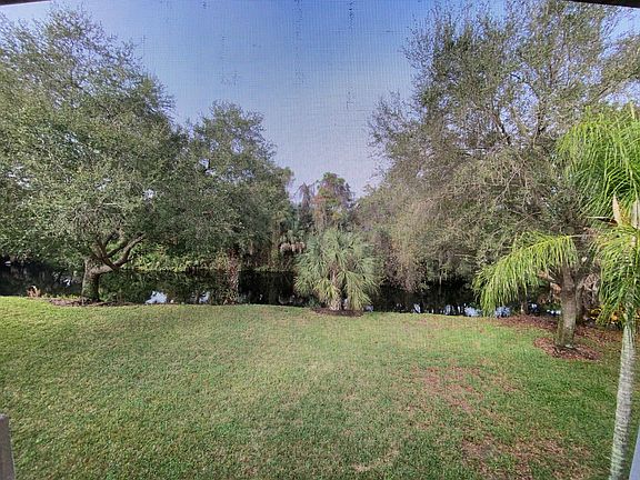 View of Spring Creek & Backyard from Screened Lanai