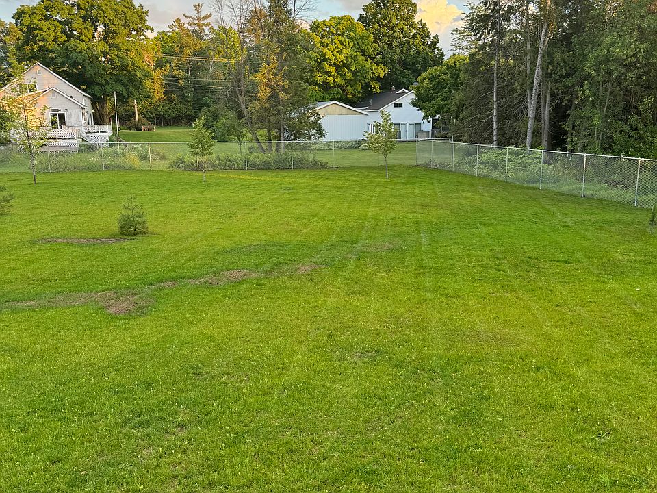 Fenced back yard
