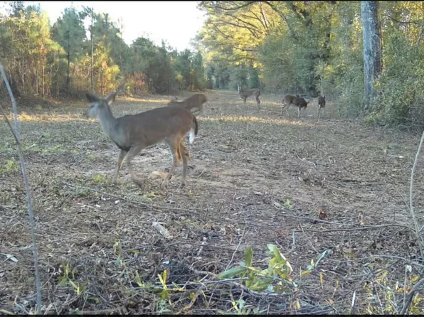 1311 County Road 712 Rd, Enterprise, AL 36330