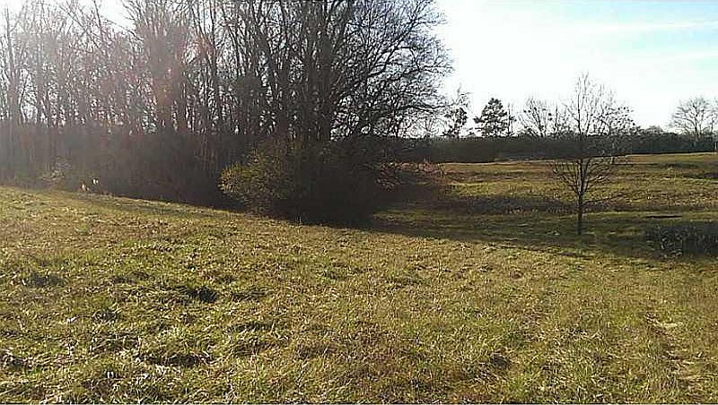 2nd image of 235 Boling Pl
