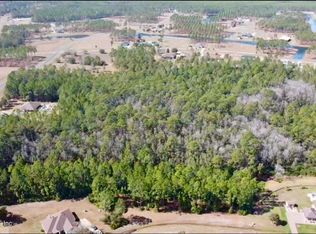 11068 BLAZING RIDGE Court, Jacksonville, FL 32219