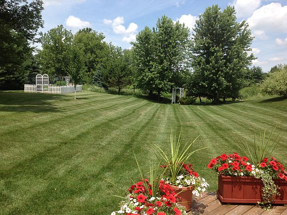 Backyard Backs Up to Meadow