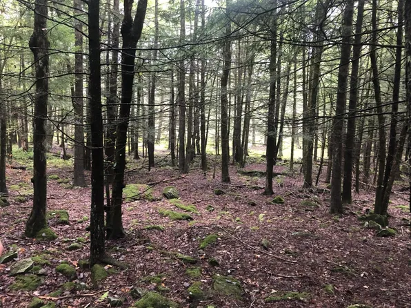 Perry Pond Road, Narrowsburg, NY 12764