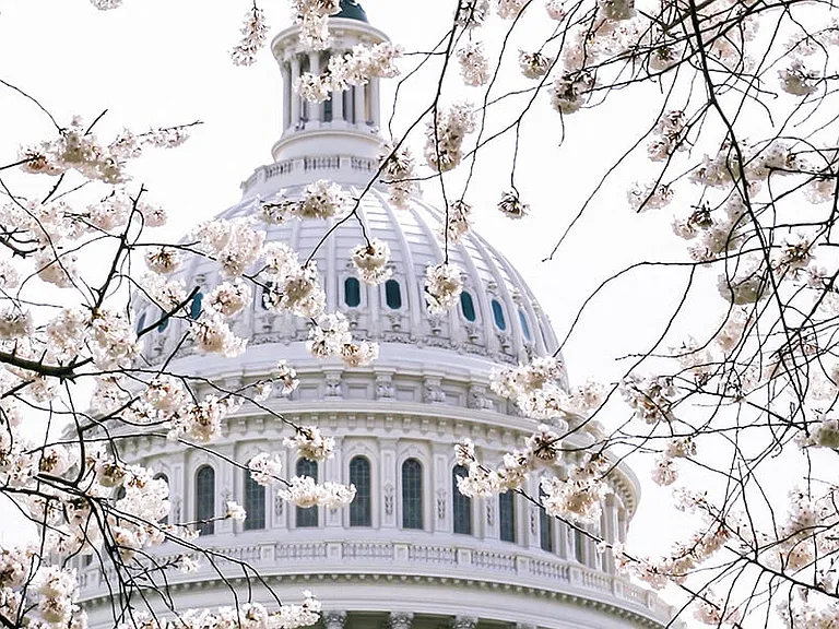 Minutes to downtown DC, historical monuments and museums