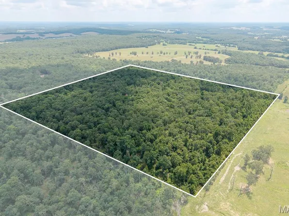 TRACT 2 Keepsake Rd, Stoutland, MO 65567