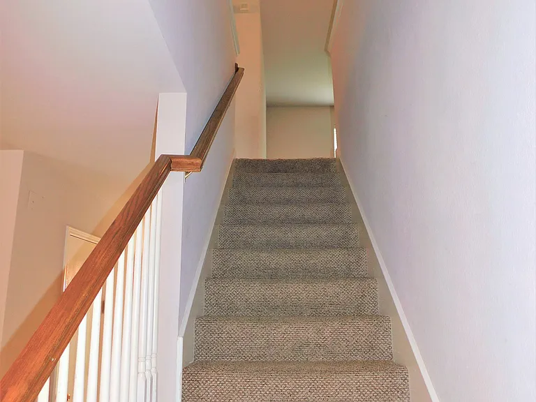 1508 Sequoia Grove Ln — Photo 14