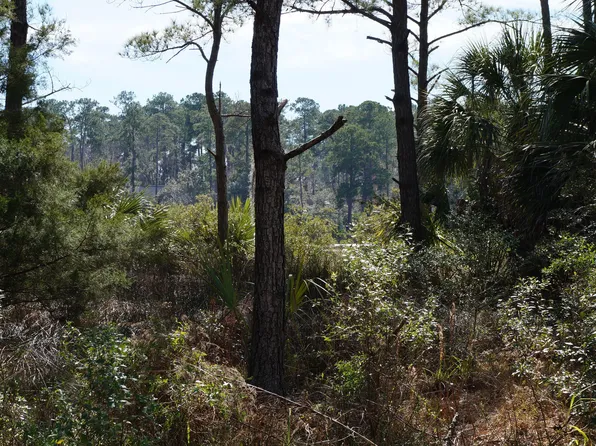 120 Winding Oak Dr, Okatie, SC 29909