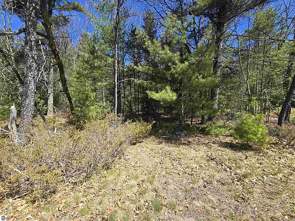 3rd image of 4699 Johnson Rd