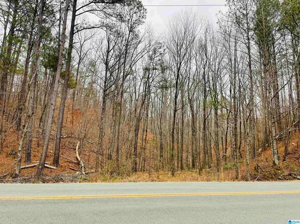 0 County Road 45, Oxford, AL 36203