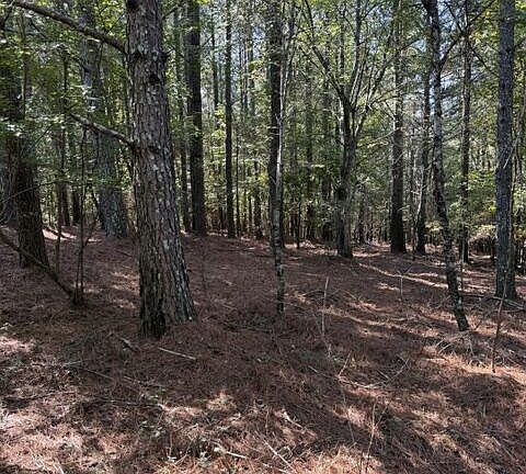 5th image of 0 Bryant Rd