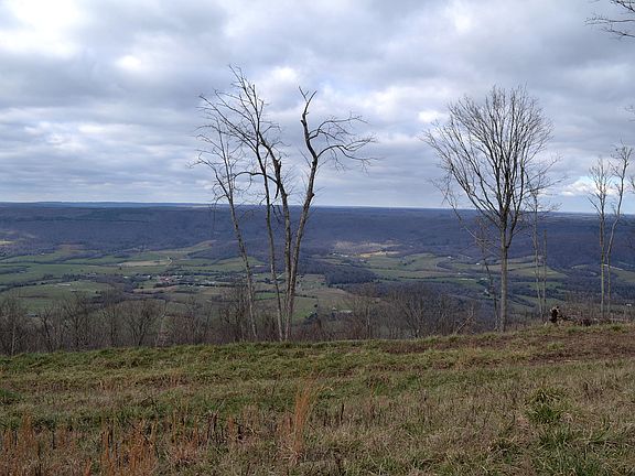 2nd image of 325 Ac Briley