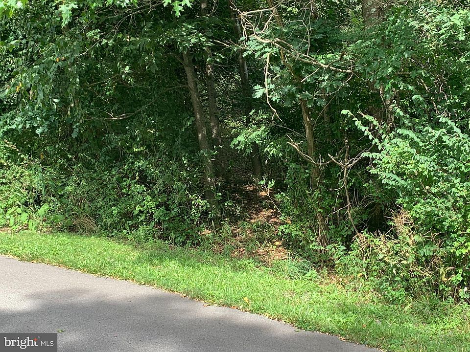 2nd image of LOT 31 Palmer Ln