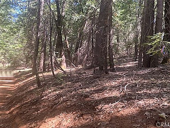 3rd image of 15052 Red Hill Spring Rd #140