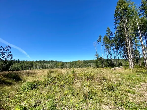 4273 Lot C SE Lynch Road, Shelton, WA 98584