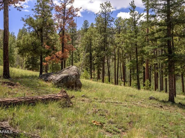 14 COUNTY ROAD N1062 -- #15, Greer, AZ 85927