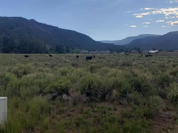 173 Willow Park Dr., South Fork, CO 81154