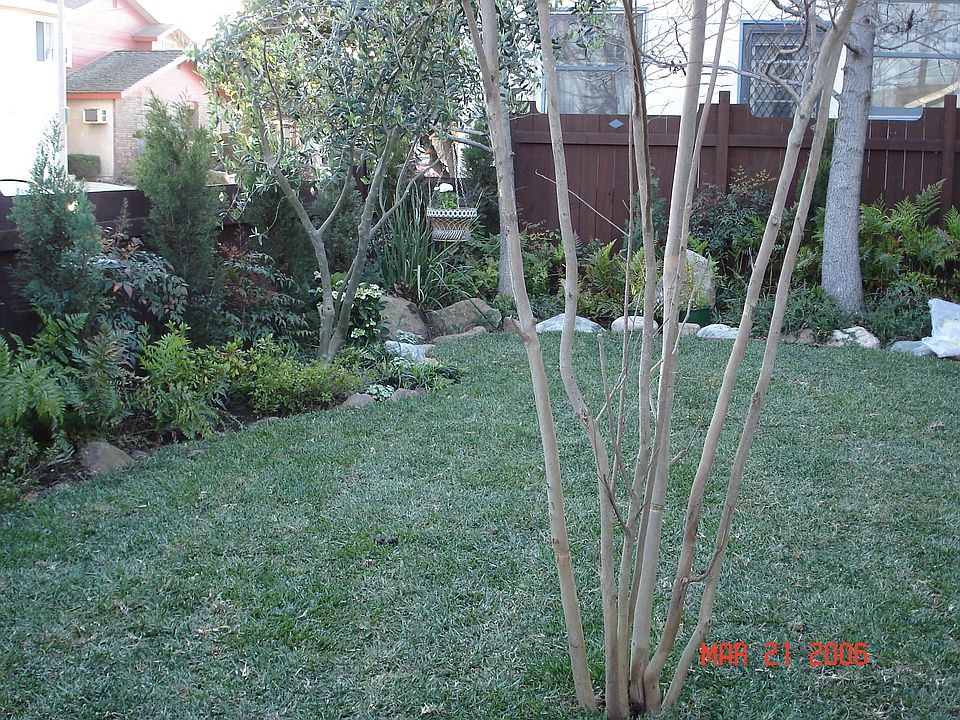 fenced front yard