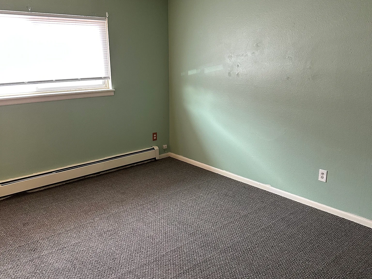 2 bed, $800 — Photo 3