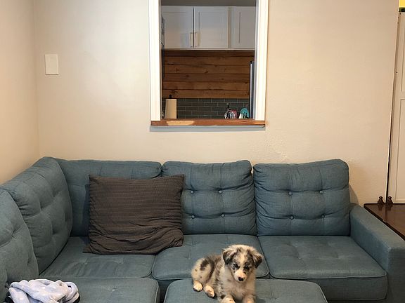 5th image of 312 Jagoe St APT 2