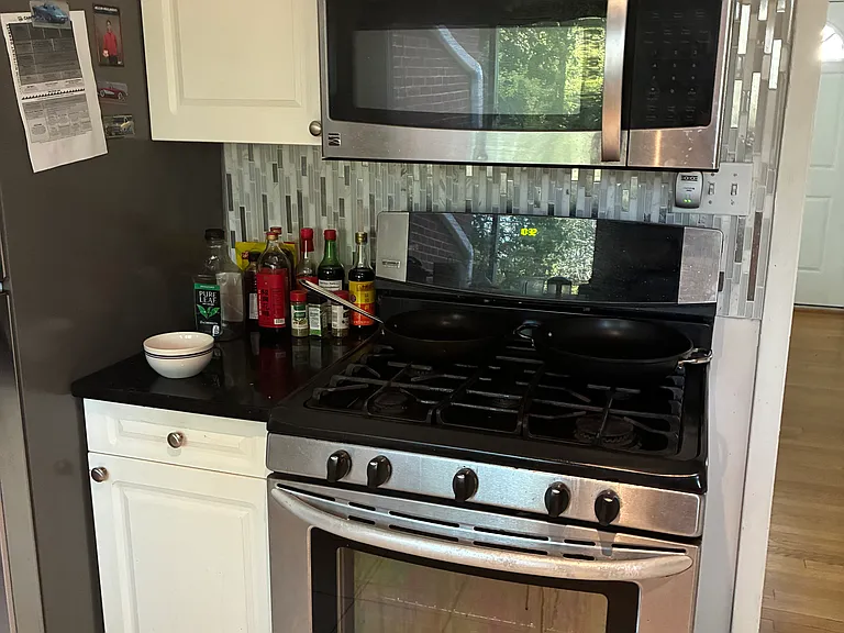1643 Great Falls St — Photo 10