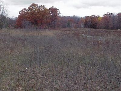 0 E 25 Mile Rd, Pickford, MI, 49774