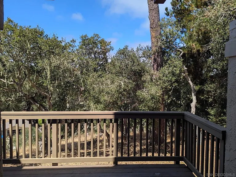 41 Montsalas Dr — Photo 2