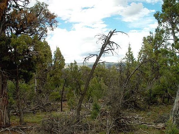 4th image of Tbd Ragsdale Rd
