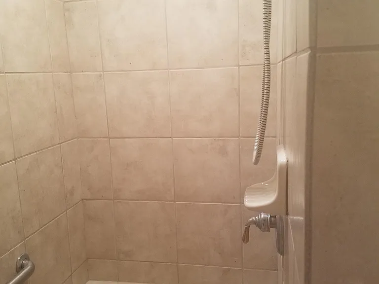 Master Bath Large Walk-in Shower