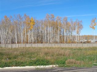 13 Bear Creek Dr, High Level, AB T0H