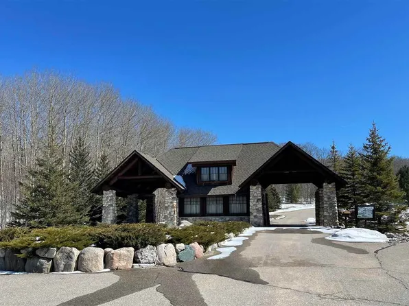 6030 Trillium Woods Dr, Harbor Springs, MI 49740