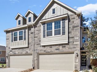 347 Biltmore Loop, Montgomery, TX 77316