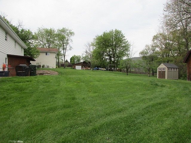 Back yard